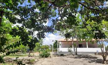 Imagem: Vendo sítio próximo a Boa Vista