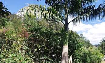 Imagem 3: Chácara a venda Caputira-MG