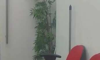 Imagem 7: Salas/conjuntos Para Venda e Locação Bela Vista, 110m² - (condomínio Brigadeiro