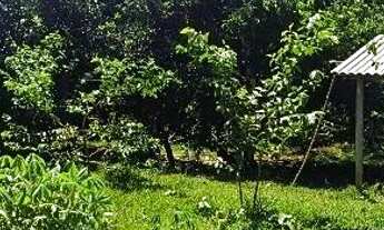 Imagem 3: Sítio no Rio pardo.Presidente Figueiredo