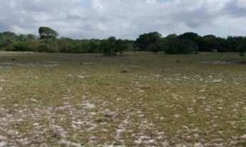 Imagem 4: CAJUEIRO - SJB - EXCELENTE PREÇO!