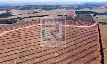 Imagem 2: MS) Fazenda em São Gabriel do Oeste com 440 Hectares