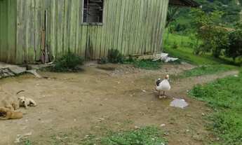 Imagem 3: Chácara em Antonina 12.375,27 m2