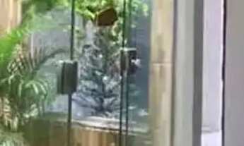 Imagem 5: 01- Casa no Centro