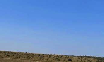 Imagem 7: Fazenda de arrendamento