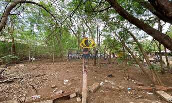 Imagem 6: LOTE COMERCIAL NA QUADRA 201 SUL