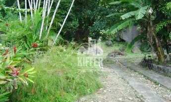 Imagem 4: Excelente Terreno com 3.000 m² no Recreio