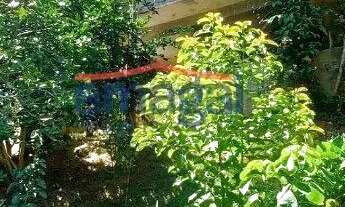 Imagem 2: Chácara à venda em Santa Branca