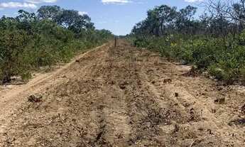 Imagem 7: Fazenda com 1.006 hectares, plana - Próximo a Chapada Gaúcha