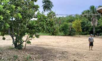 Imagem 4: Chácara 8 hectares