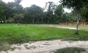 Imagem 3: Chácara NO BAIRRO DE Santa Etelvina 7500m2