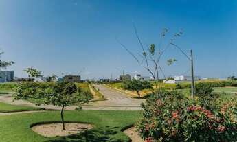 Imagem 6: Lotes de 450m² a 1.486,60m², à venda na Barra de São Miguel-Marechal Deodoro-AL