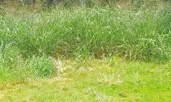 Imagem 4: Casa de condomínio para venda possui 1398 metros quadrados em Rio Abaixo - Mairiporã - SP