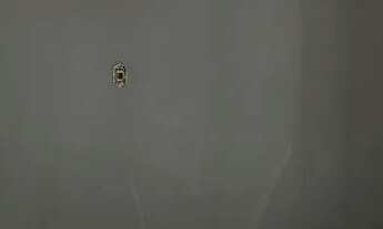 Imagem 6: Casa em Corumbá de Goiás