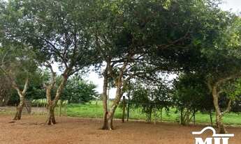Imagem 2: Fazenda a 150 km Palmas. . 380 Alq. (1.839 Há). Vale do Araguaia