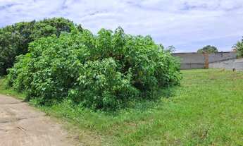 Imagem 2: Excelente Lote de 474m² com Escritura - Loteamento Vale do Ipê