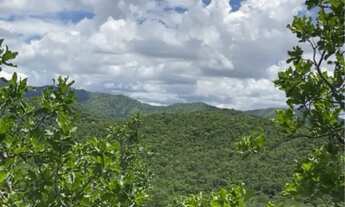 Imagem 6: Chácara com Córrego na rodovia de Chapada dos Guimarães - Só R$120 Mil