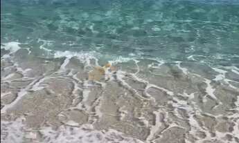 Imagem 2: Apartamento Locação Temporada Guarujá/SP- Praia de Pitangueiras