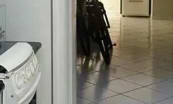 Imagem 6: Casa com 3 dormitórios para alugar, 230 m² por R$ 6.135,00/mês - Parque Novo Mundo - Ameri