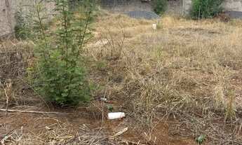 Imagem 2: 2 terrenos a no jockey club