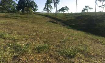 Imagem 4: Fazenda no Riacho da Guia Alagoinhas