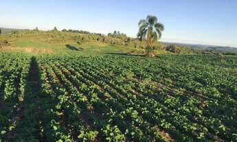 Imagem 3: Sítio / Chácara 10 Alqueire em Inácio Martins