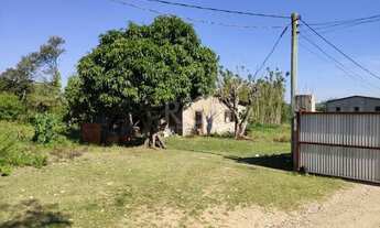 Imagem 2: Porto Alegre - Galpão/Depósito/Armazém - Lageado