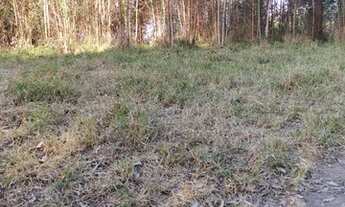 Imagem 3: Loteamento Vale das Águas em Igaratá - SP