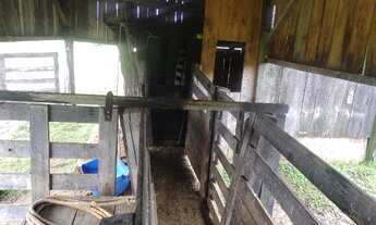 Imagem 6: Fazenda pronta linda taquara