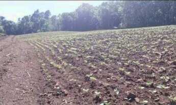 Imagem: Vende-se terreno