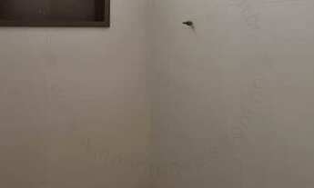 Imagem 6: Casa Geminada para Venda em Palhoça, Bela vista, 2 dormitórios, 1 banheiro, 2 vagas