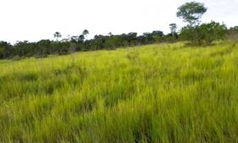 Imagem: Fazenda em Ipueiras-TO. 50 mil