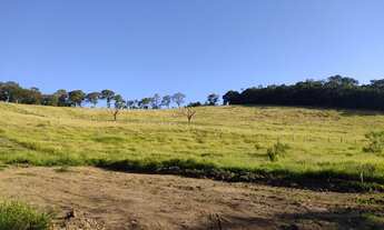 Imagem 3: Vendo lote de 500 metros em nazare paulista