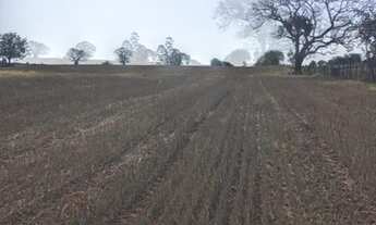 Imagem 6: Sítio com 6,5 Alqueires ou 157.300,00 metros, Quadra/SP