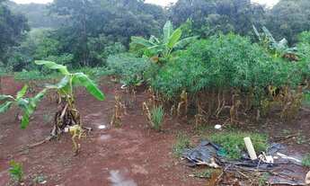 Imagem 3: Chácara Jardim São José