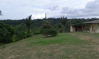 Imagem 5: Fazenda/Sítio/Chácara para venda tem 404100 metros quadrados com 3 quartos