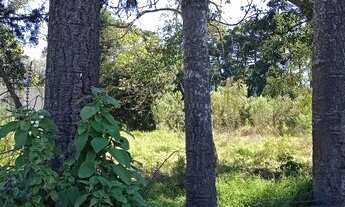 Imagem 6: Lote/Terreno para venda possui 455 metros quadrados em Jardim dos Estados 1 - Piraquara