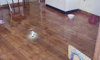 Imagem 7: Casa bairro vista alegre