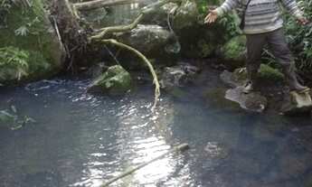 Imagem 5: Vende-se uma chácara no Caraá, por apenas R$190 mil reais