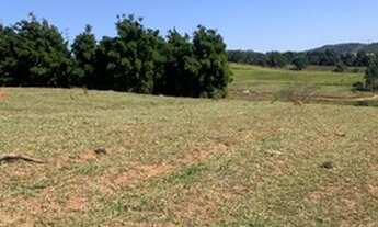 Imagem 4: Pré lançamento, terá toda infraestrutura