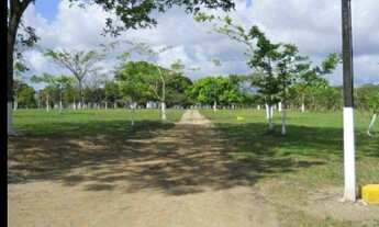 Imagem 3: Alugo área de 01 a 08 hectares