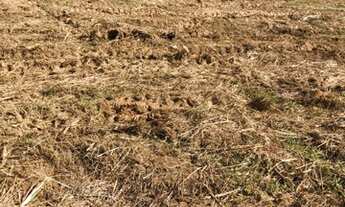 Imagem 7: Lote/Terreno para venda com 600 metros quadrados em Vale das Montanhas - Igaratá - SP