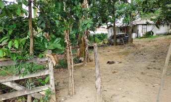 Imagem 4: Vendo chácara no distrito de Rive, Alegre ES