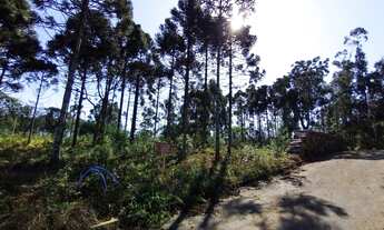 Imagem 3: TERRENO À VENDA