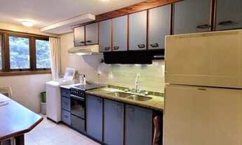 Imagem 7: GRAMADO - Padrão - Planalto