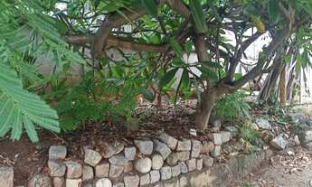 Imagem 5: Casa para venda com 100 metros quadrados com 3 quartos com terrenao de 400 metros