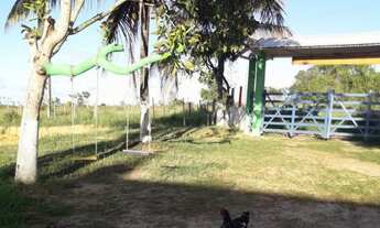 Imagem 7: Sitio a venda no Povoado Saco da Raiz em Estância