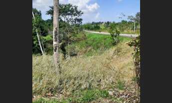 Imagem 4: Fazenda Nazaré das Farinha otima localizacao