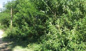 Imagem 3: Vendo/Alugo Terreno na Cidade de Magé - Rio de Janeiro