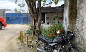 Imagem 3: Galpão 4500 m Area coberta